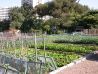 Jardins Familiaux Marseille