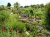 Jardins Familiaux Quetigny
